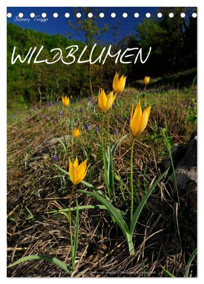 WILDBLUMEN (Tischkalender 2026 DIN A5 hoch), CALVENDO Monatskalender