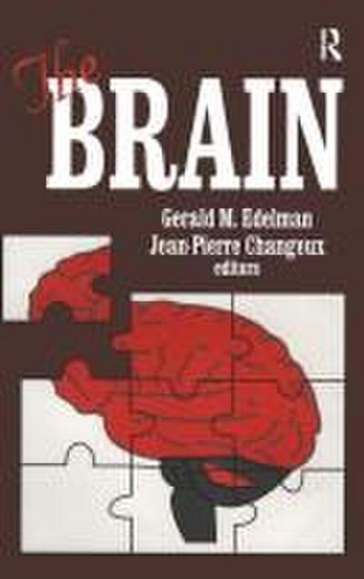 The Brain