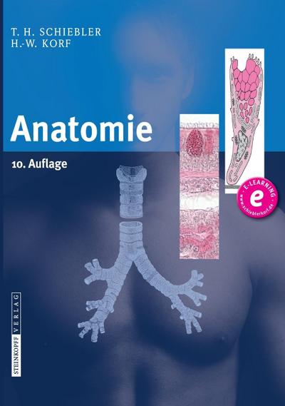 Anatomie