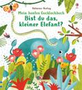 Mein buntes Gucklochbuch: Bist du das, kleiner Ele
