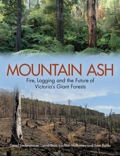 Mountain Ash