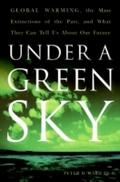 Under a Green Sky