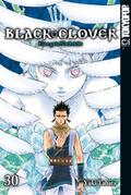 Black Clover 30