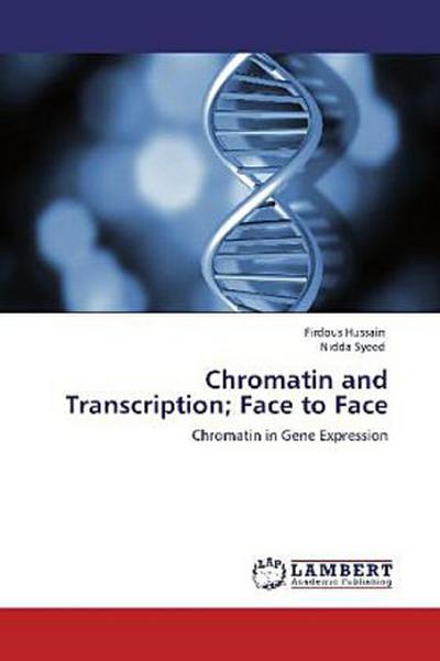 Chromatin and Transcription; Face to Face