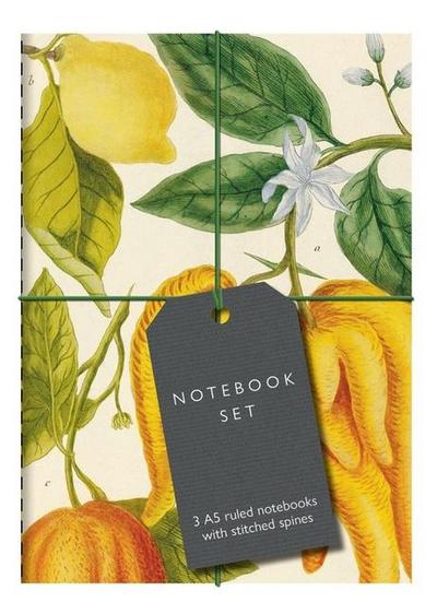 Botanical Art Notebook Set, 3 Teile