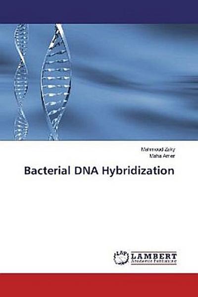 Bacterial DNA Hybridization