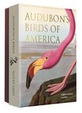 Audubon’s Birds of America