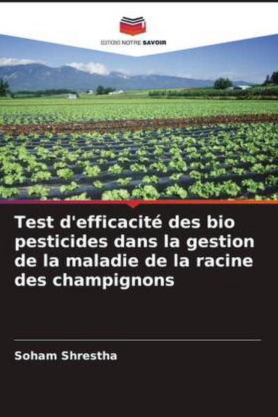 Test d’efficacité des bio pesticides dans la gestion de la maladie de la racine des champignons