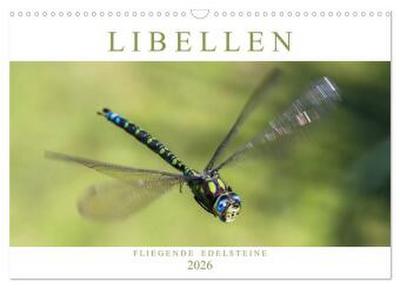 Libellen - Fliegende Edelsteine (Wandkalender 2026 DIN A3 quer), CALVENDO Monatskalender