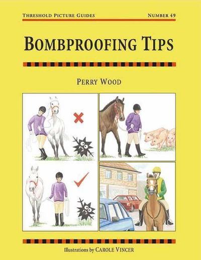 Bombproofing Tips: Threshold Picture Guide No 49