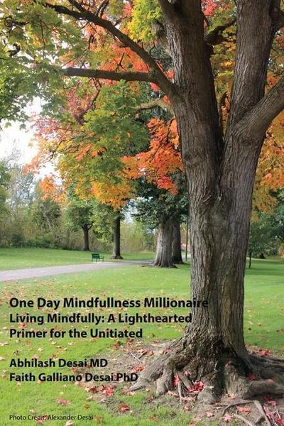 One Day Mindfulness Millionaire: Living Mindfully: A Lighthearted Primer for the Uninitiated