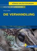Die Verwandlung von Franz Kafka - Textanalyse und Interpretation