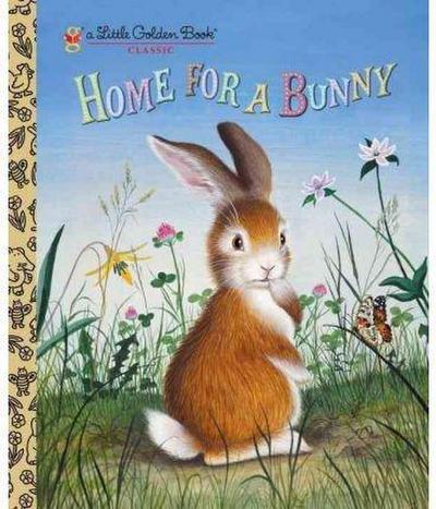 Home for a Bunny