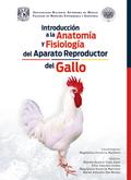 Introducción a la anatomía y fisiología del aparato reproductor del gallo