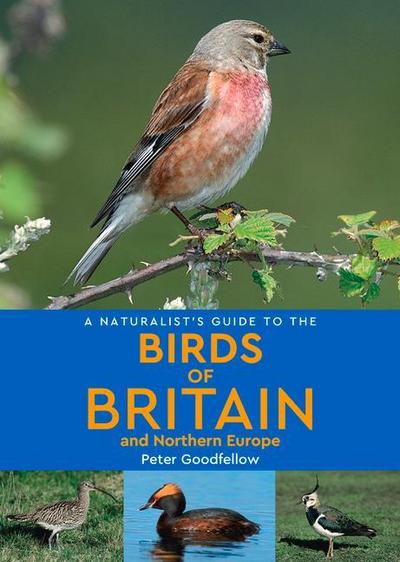 A Naturalist’s Guide to the Birds of Britain & Northern Europe