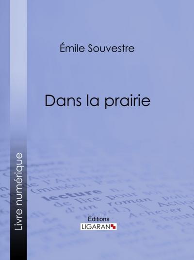 Dans la prairie