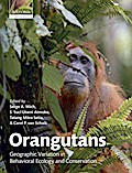 Orangutans