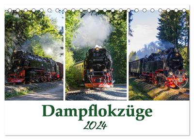 Schmalspurbahnen im Harz (Tischkalender 2024 DIN A5 quer), CALVENDO Monatskalender