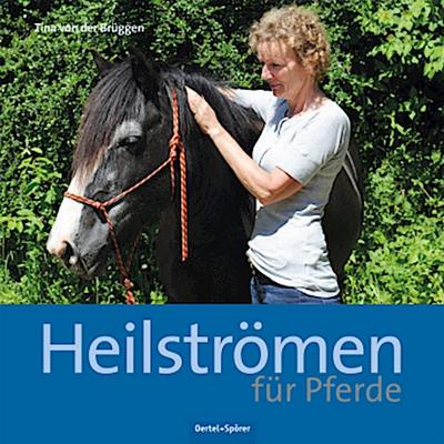 Heilströmen für Pferde