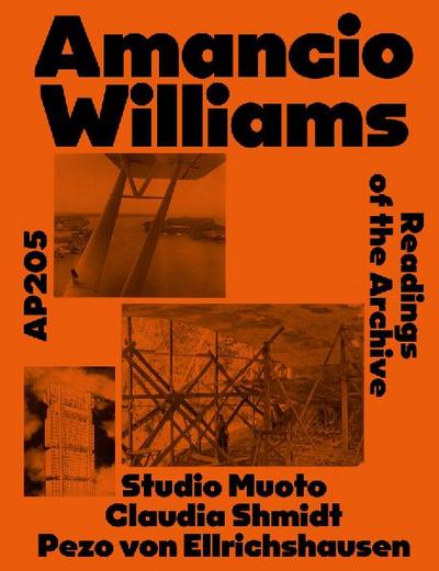 AP205 Amancio Williams 