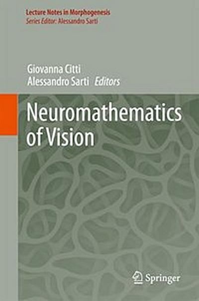 Neuromathematics of Vision