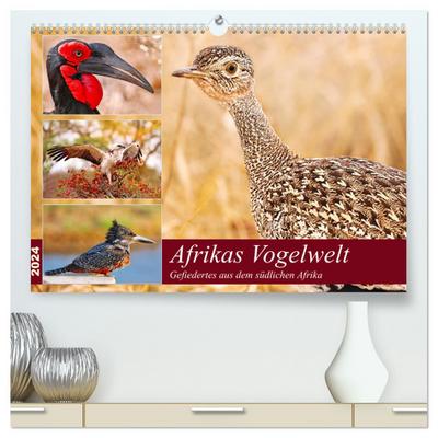 Afrikas Vogelwelt 2024 (hochwertiger Premium Wandkalender 2024 DIN A2 quer), Kunstdruck in Hochglanz