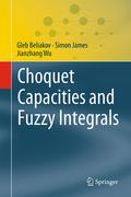 Choquet Capacities and Fuzzy Integrals