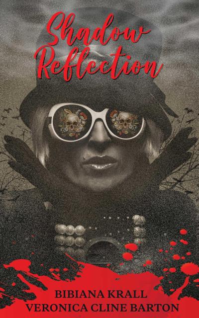 Shadow Reflection (The Haunted, #4)