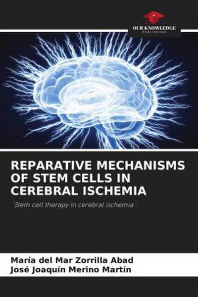 REPARATIVE MECHANISMS OF STEM CELLS IN CEREBRAL ISCHEMIA