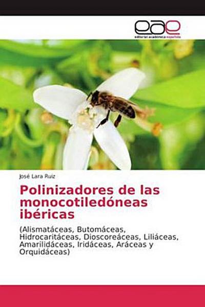 Polinizadores de las monocotiledóneas ibéricas