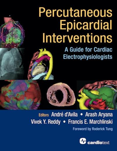 Percutaneous Epicardial Interventions: