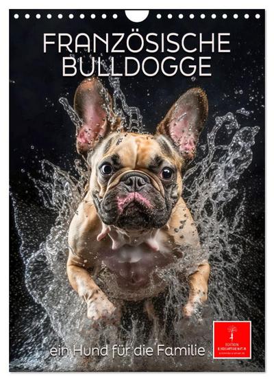 Französische Bulldogge - ein Hund für die Familie (Wandkalender 2026 DIN A4 hoch), CALVENDO Monatskalender