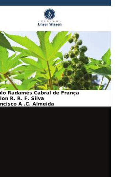 Technologische Innovation für die Verarbeitung von Rizinus