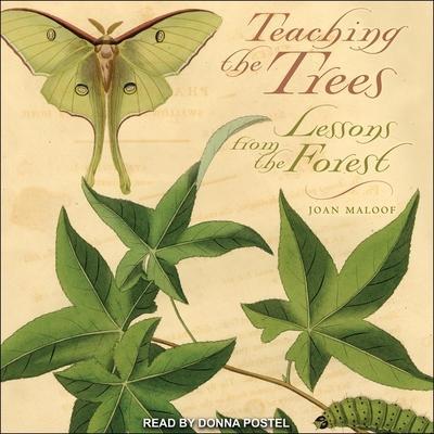 Teaching the Trees Lib/E: Lessons from the Forest