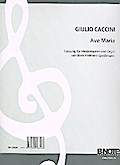 Ave Mariafür Mezzosopran und Orgel