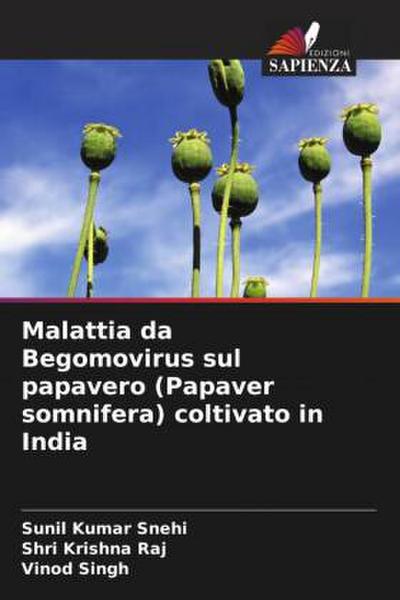 Malattia da Begomovirus sul papavero (Papaver somnifera) coltivato in India