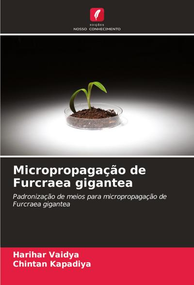 Micropropagação de Furcraea gigantea