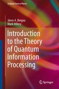 Introduction to the Theory of Quantum Information 
