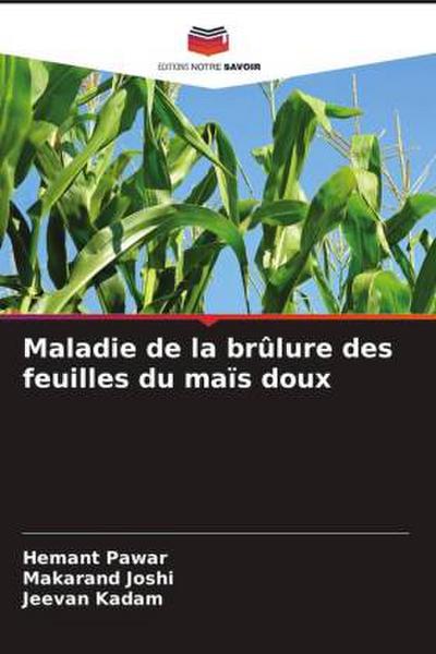 Maladie de la brûlure des feuilles du maïs doux