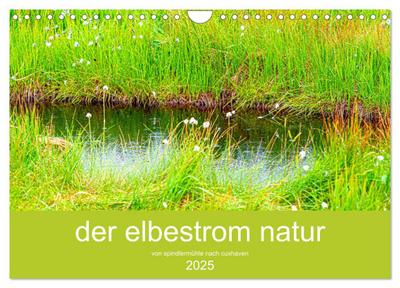 der elbestrom natur (Wandkalender 2025 DIN A4 quer), CALVENDO Monatskalender