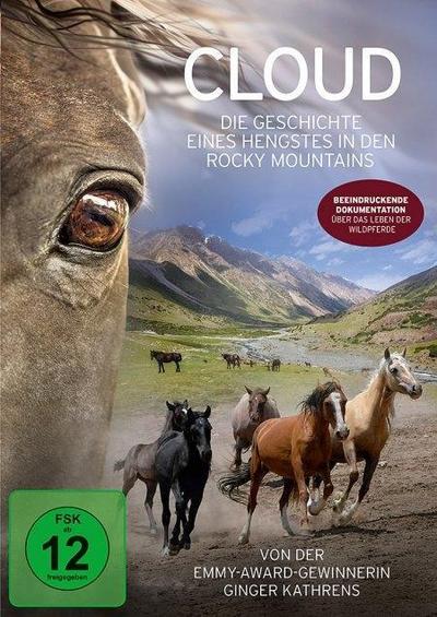 Cloud - Die Geschichte eines Hengstes in den Rocky Mountains, 1 DVD