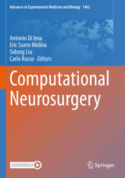 Computational Neurosurgery