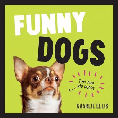 Funny Dogs.