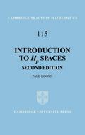Introduction to HP Spaces
