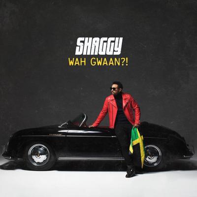 Wah Gwaan?!, 1 Audio-CD