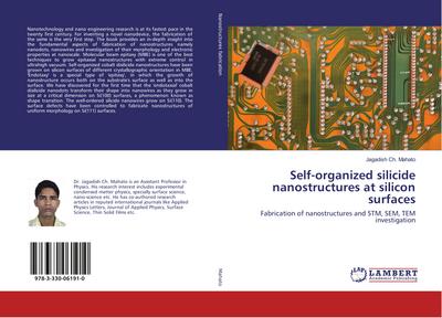 Self-organized silicide nanostructures at silicon surfaces