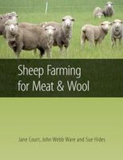 Sheep Farming for Meat and Wool