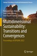 Multidimensional Sustainability: Transitions and C