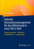 Hybrides Innovationsmanagement für den Mittelstand in einer VUCA-Welt