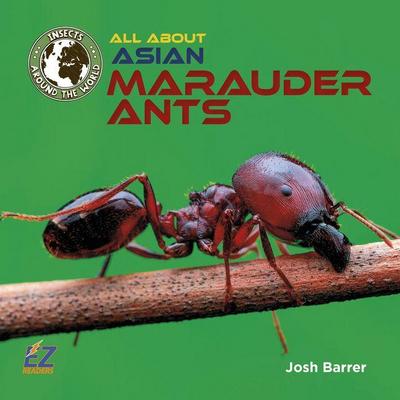 All about Asian Marauder Ants